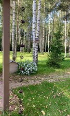 Дождевая цепь 