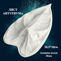 Молды для творчества 