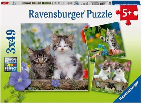 Puzzle Chatons tigrés            3x49p