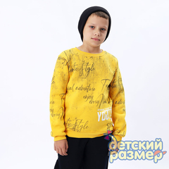 Толстовка с начесом