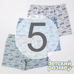 5 (9-10 лет)
