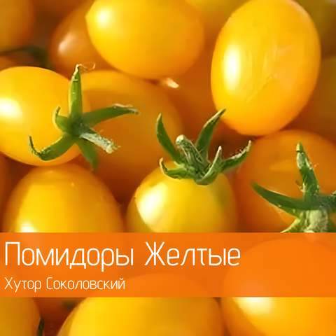 Помидоры желтые органические