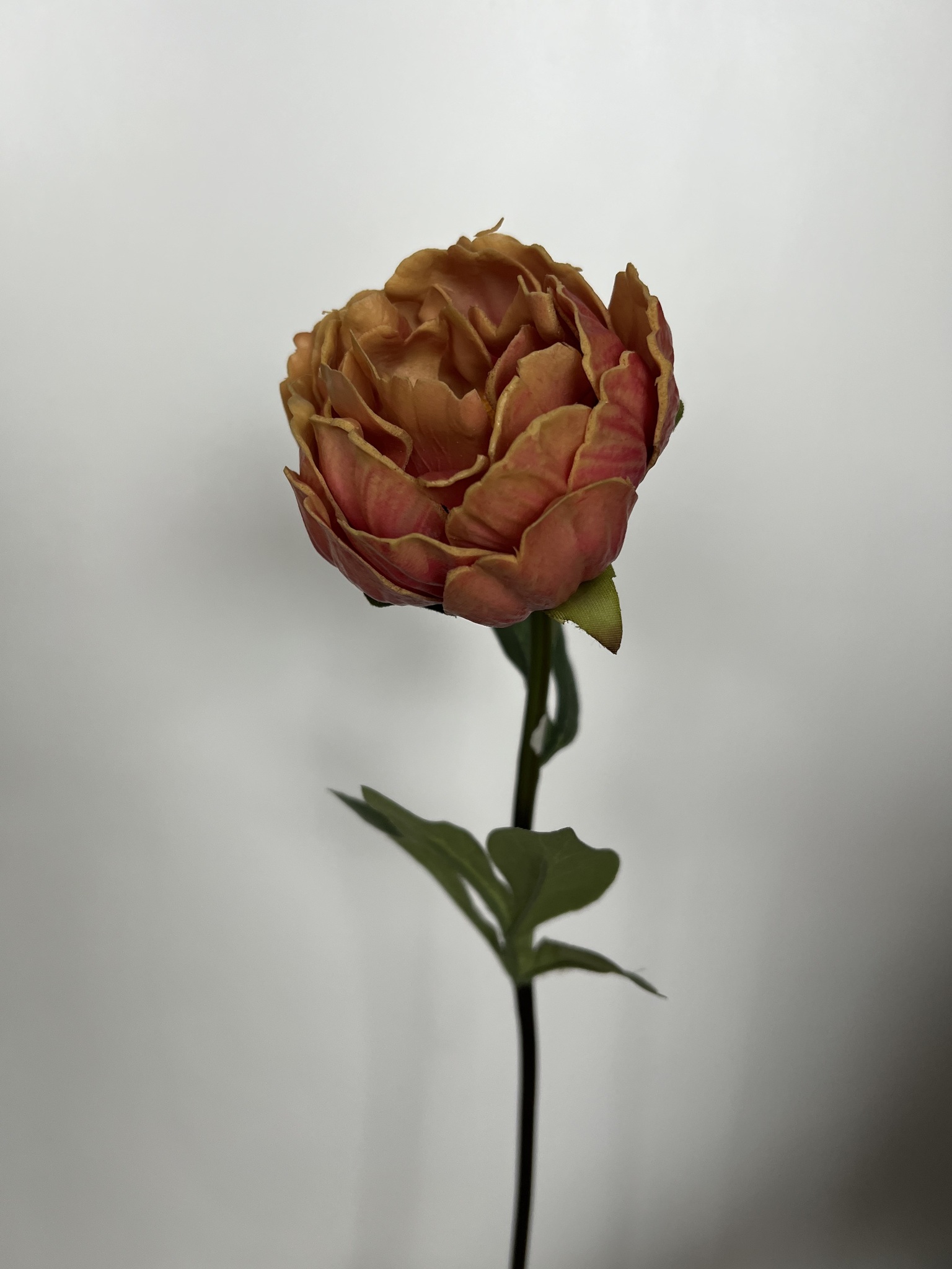 Пион розово-желтый с силиконовым покрытием 53 см