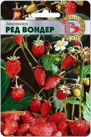 Земляника Ред Вондер 60шт Биотехника