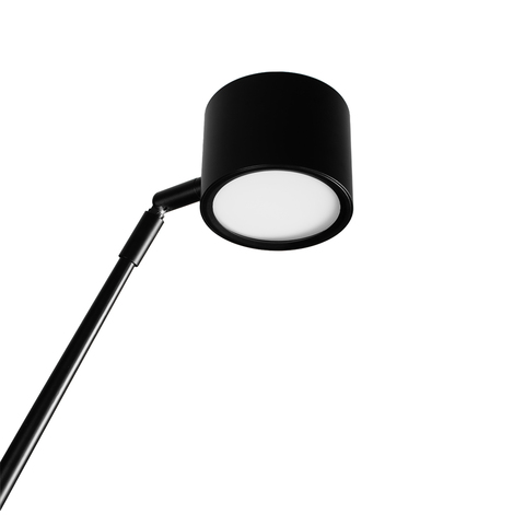 Торшер светодиодный Loft It Sampei 10374/2300