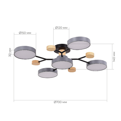 Светильник потолочный Evoluce Faema SLE6006-702-05