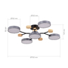 Светильник потолочный Evoluce Faema SLE6006-702-05