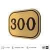 Номерок на дверь квартиры 300, для кабинета, офиса, шильдик 9 х 7 см, золотистый, Айдентика Технолоджи