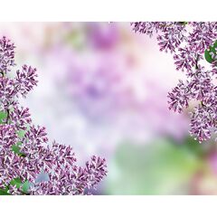 Панель потолочная ПВХ Novita 3D Сирень 3D