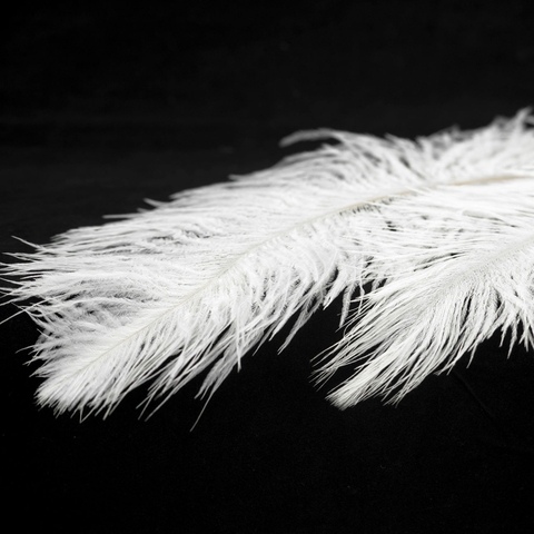 Подвесная люстра Lussole Cuscino GRLSP-8600