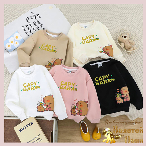 Свитшот хл детский (2-6) 250718-RN2092