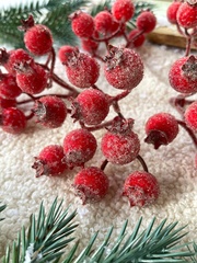 №2 Ягоды Шиповника зонтиком в сахарной обсыпке, на ветке 9 ягод по 15 мм, набор 5 шт.