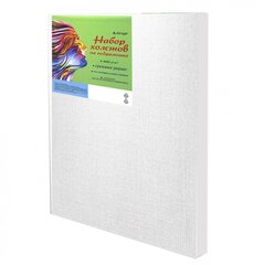 
          Набор холстов на подрамнике Alingar, 3 шт 20*30, 30*40, 40*50, 400 гр/м2 среднее зерно, хлопок, акриловая трёхкомпон. грунтовка, индивид. упаковка