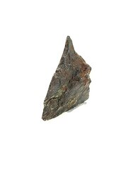 Метеорит Сеймчан горбушка