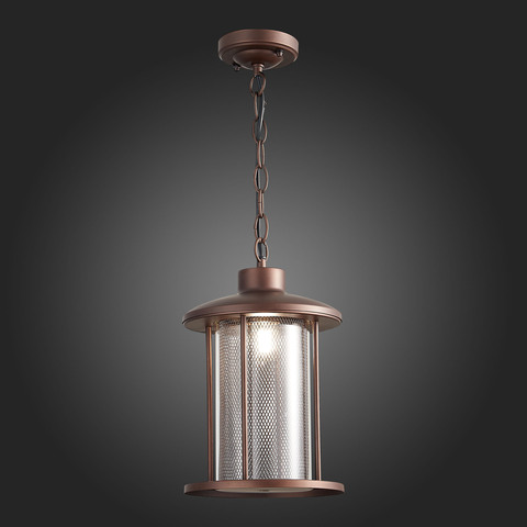 Светильник уличный подвесной ST Luce Lastero SL080.403.01
