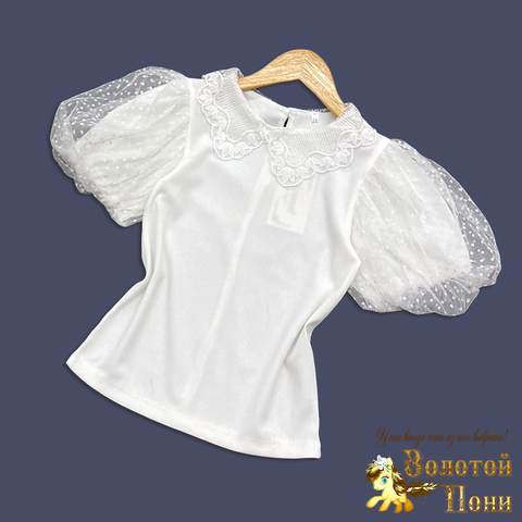 Блуза трикотаж д (8-12) 250530-QR9103