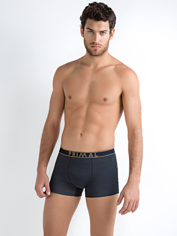 Мужские трусы B227 Boxer Primal