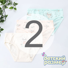 2 (3-4 года)