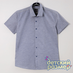 серо-синий
