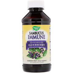 Nature's Way, Sambucus Immune, стандартизированная настойка с бузиной, 120 мл (4 жидких унции)
