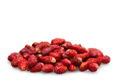 Земляника лесная, 125г