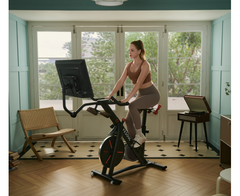 Велотренажер YESOUL Smart Spinning bike G1MAX черный (BG1-B-32)