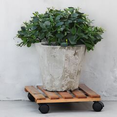 Подставка для цветов напольная на колесиках Флорэль деревянная в стиле рустик (состаренный), квадратная, браун