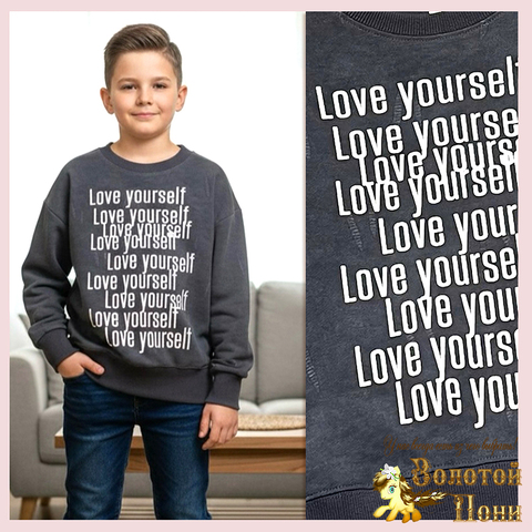 Свитшот трикотаж м (5-10) 251214-DS531