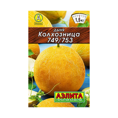 Дыня Колхозница
