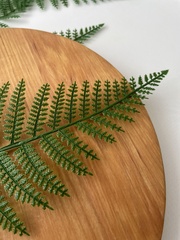 Папоротник, зелень искусственная, 56 см., набор 10 веток.