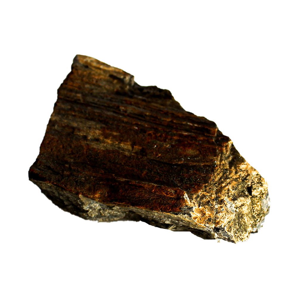 Окаменевшее дерево — купить эзотерические товары из камня | ural-mineral