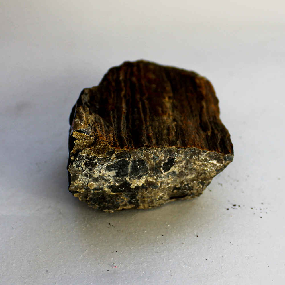 Окаменевшее дерево — купить эзотерические товары из камня | ural-mineral