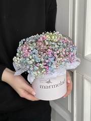 Коробка с радужной гипсофилой