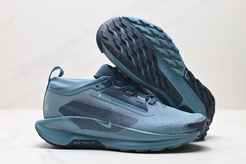 Nike Pegasus Trail 5 GORE TEX 'Blue' 