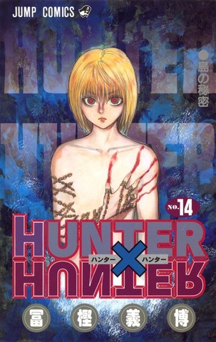 Hunter x Hunter Vol. 14 (на японском языке)