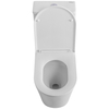 BelBagno BB673CP-MN-TOR/SC TRE-TOR Унитаз-моноблок со смывом "Торнадо", с сиденьем дюропласт soft close, P-trap, BB673CP-MN-TOR/SC