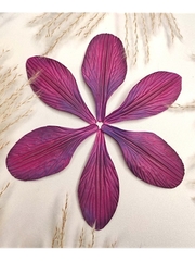 Молды пластиковые Набор М17-18 для лилии