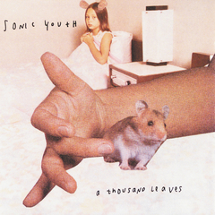 Sonic Youth / A Thousand Leaves (2LP)