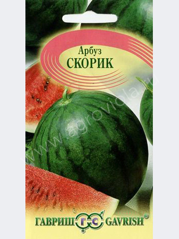 Арбуз Скорик