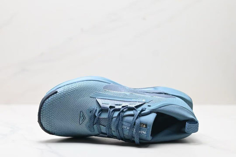 Nike Pegasus Trail 5 GORE TEX 'Blue' 