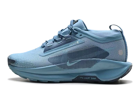Nike Pegasus Trail 5 GORE TEX 'Blue' 