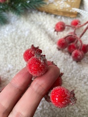 №2 Ягоды Шиповника зонтиком в сахарной обсыпке, на ветке 9 ягод по 15 мм, набор 5 шт.