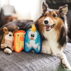 OutwardHound Invinc Mini игрушка для собак Цыпленок 17 см без наполнителя