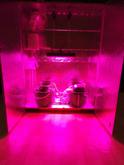 Гроубокс 140х100х60 для выращивания растений с LED светом