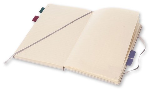 Блокнот Moleskine Professional Large, цвет серый, в линейку