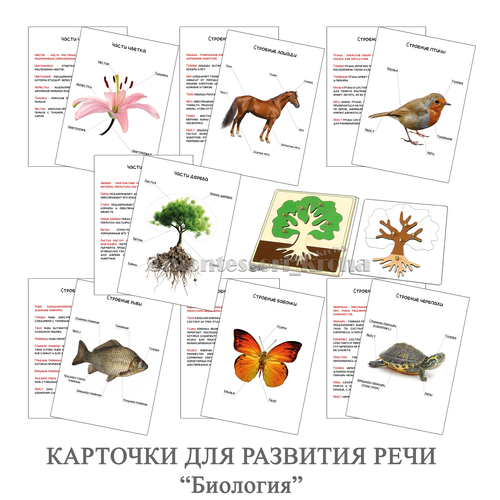 Планшет и набор карточек Развитие речи 