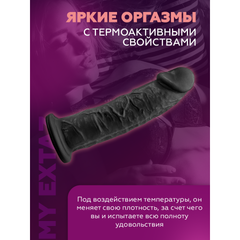 Фаллоимитатор с двойной плотностью Model 2 от SILEXD черный (22,8*5,4 см)