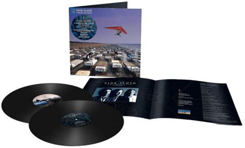 Vinil \ Пластинка \ Vynil A MOMENTARY LAPSE OF - Pink Floyd