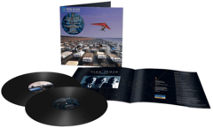 Vinil \ Пластинка \ Vynil A MOMENTARY LAPSE OF - Pink Floyd