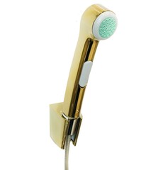 Hansgrohe 32128990 Гигиенический душ - комплект с держателем и шлангом 160 см (золото полированное) фото